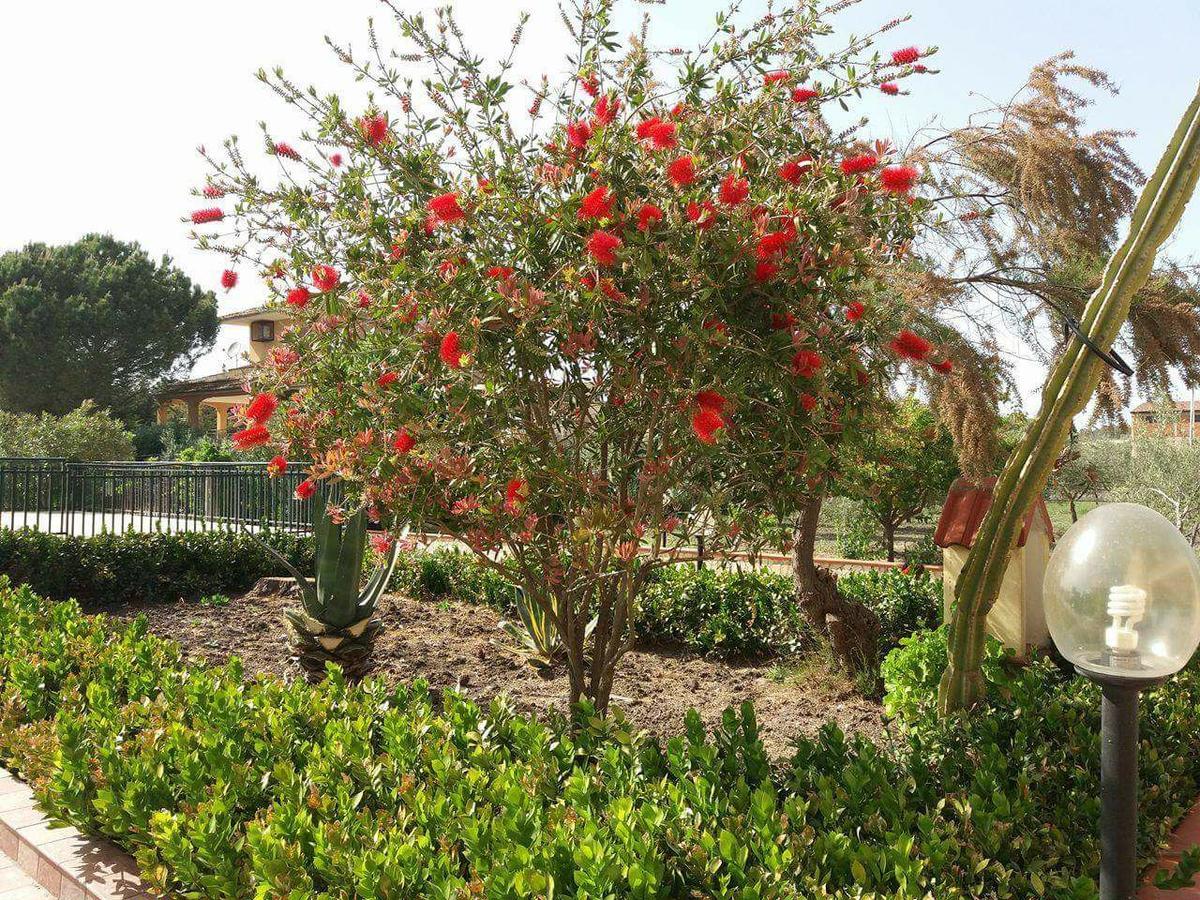 Villa Milici Campobello di Licata Dış mekan fotoğraf